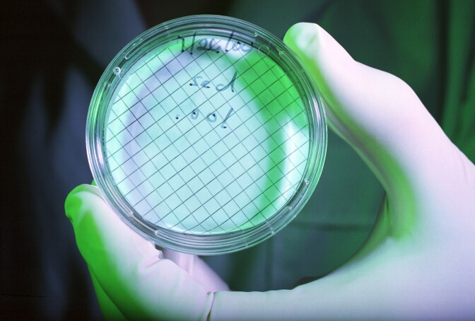 A photo still of a petri dish.