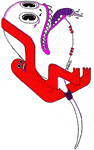 5b2c5f054488b300092823ee-original.gif