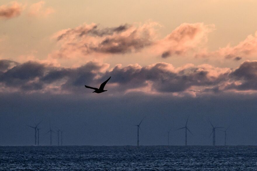 A light gray sky above gray and blue clouds sits above a calm, blue ocean where black wind turbine fans with three propeller blades sit far off in the background. The dark silhouette of a bird flies in the foreground.