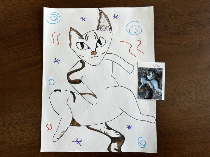 A marker drawing of a wide-eyed cat in a crouched pose sits beside a small photo of a real tabby and white kitten labeled '62'.