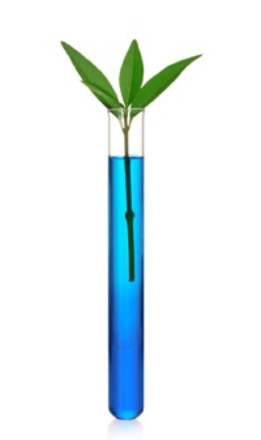 test_tube_plant_shutterstock.jpg