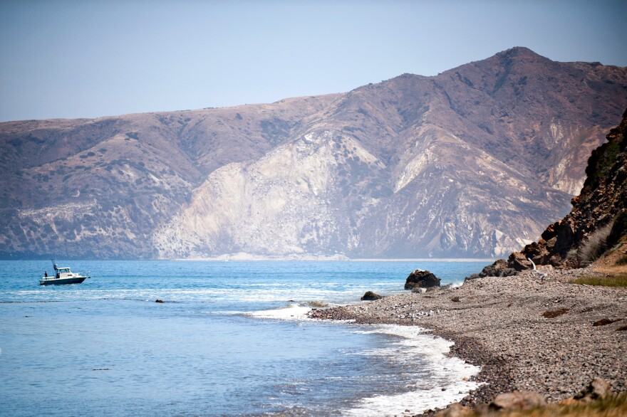 The 96-square-mile island is one of four in the Channel Islands southeast of Ventura. Santa Cruz Island is home to 60 different species unique to the island.