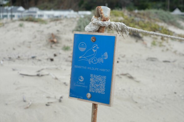 A blue sign reads "sensitive wildlife habitat" on a post in front of a sand dune. 