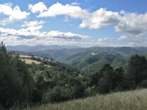 The California state parks system, beset by financial problems and scandal, is launching a study commission leaders hope will reshape the system and restore public confidence and financial stability. (Photo: Coe Park is California's second-largest state park, spanning more than 87,000 acres.)