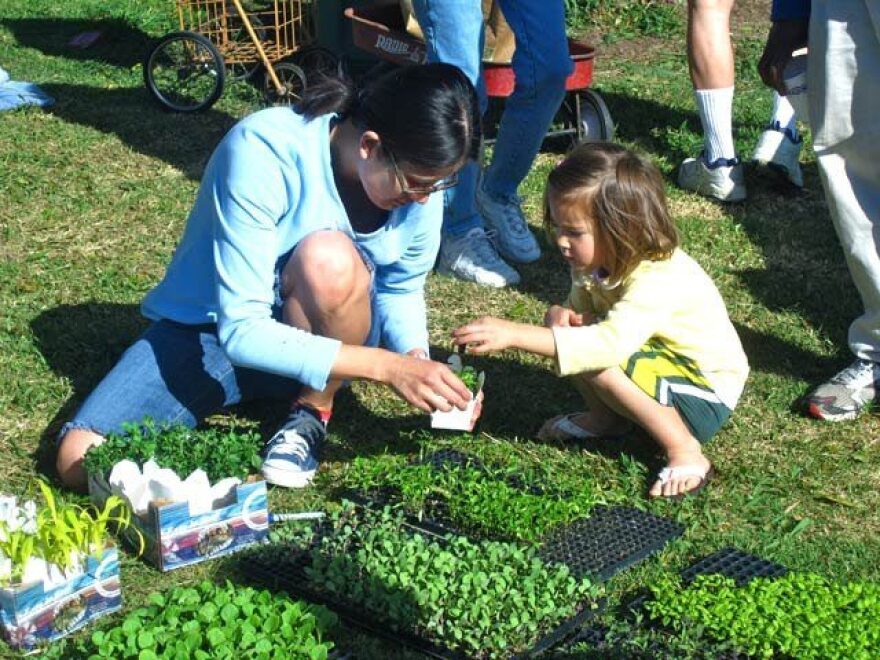 little-kid-garden-sanpedro-lwr.jpg