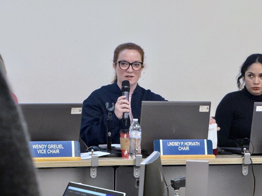 A woman wearing glasses speaks into a microphone with a sign in front of her that says "Lindsey P. Horvath" "Chair"