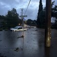 A white truck is submerged in solid mud near a street sign in a neighborhood