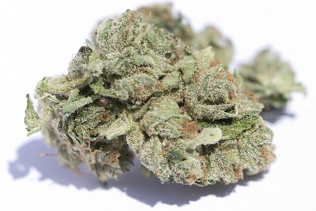 og_kush_medical_marijuana.jpg