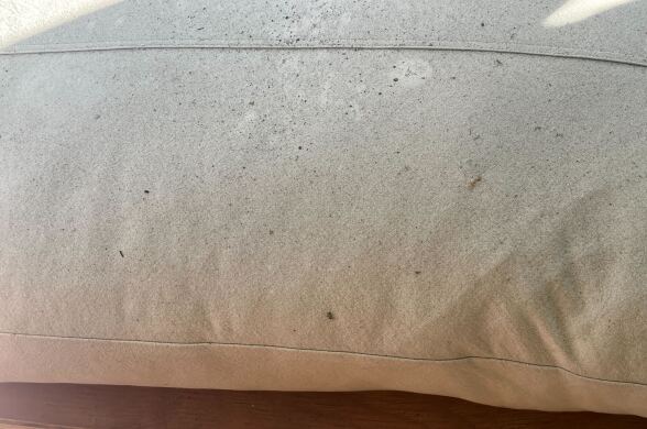 A close up of dirty coushin that's covered in specks of ash to wear it's no longer its original color.