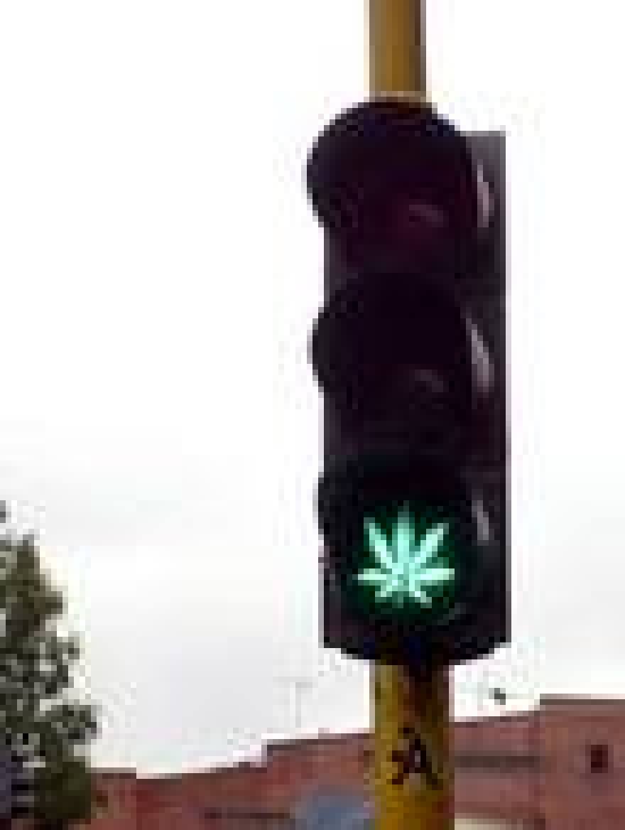 Doctors Pressure Government to Greenlight Medical Marijuana
