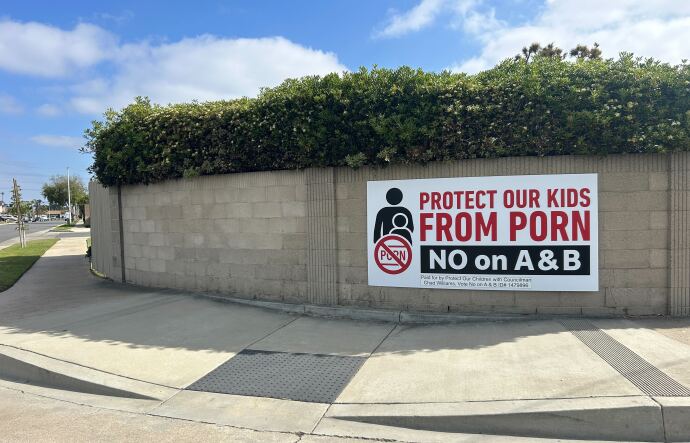 A banner campaign sign reads in big block letters, "PROTECT OUR KIDS FROM PORN" and "NO on A & B."