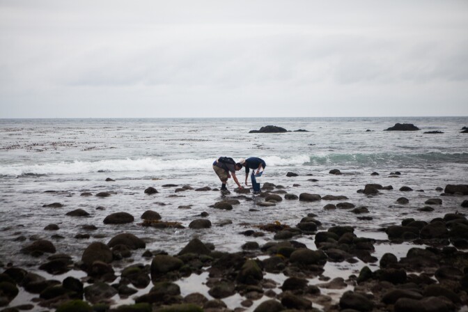 Students from Valley College look for sea life near the Malibu Lagoon.