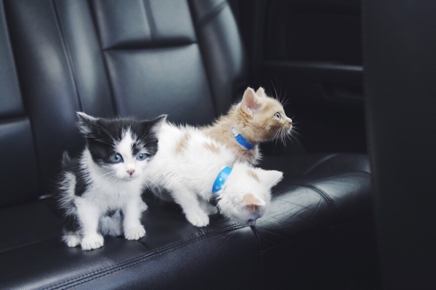 vsco-photo-4.jpg