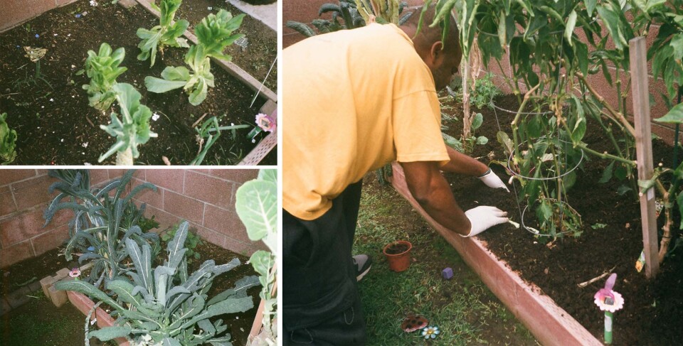 Nakeisha's husband works in his garden.