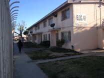 Jordan Downs Housing Project in Watts.