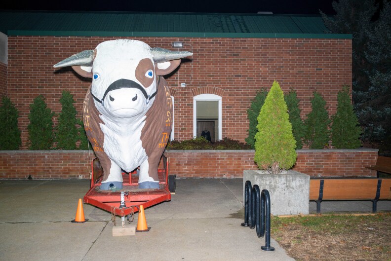 A large cow that reads "Painted Pony Rodeo" stands outside the Adirondack Stampede.