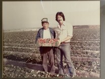 Two men are seen in a strawberry field, one on the older side and one about middle aged. They are jointly holding a large box of strawberries up, presenting it to the camera. The photo is aged, suggesting it is decades old.