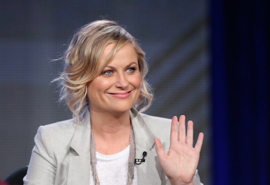 amy-poehler-2014.jpg