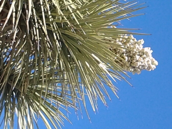 One of our fans submitted this photo via email. 