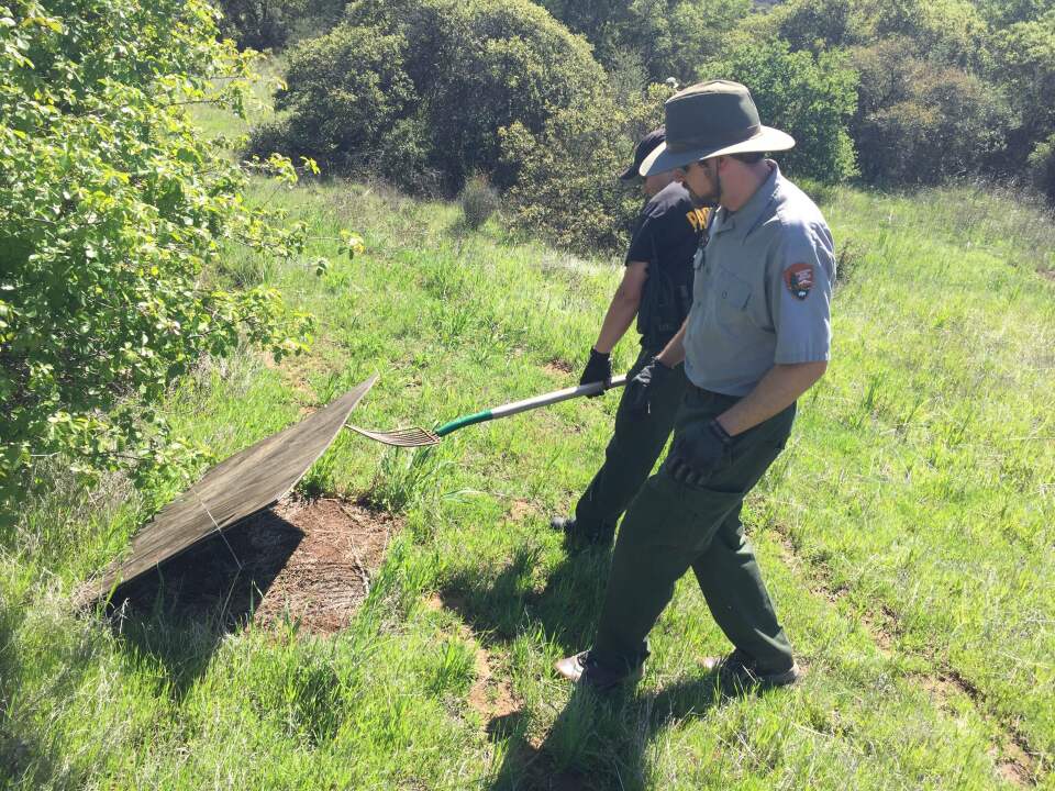 Rangers work to clean up snake traps throughout Decker Canyon. 