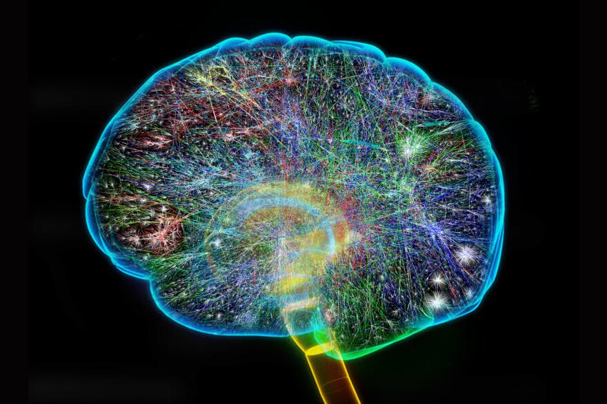 An illustration of connections in a human brain.