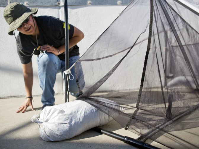 Estella Hernandez, assistant collections manager for entomology at the Natural History Museum, lays sandbags on the base of a malaise trap atop the U.S. Bank Tower in downtown Los Angeles on Sept. 24, 2015. The trap will remain atop the building for one month.