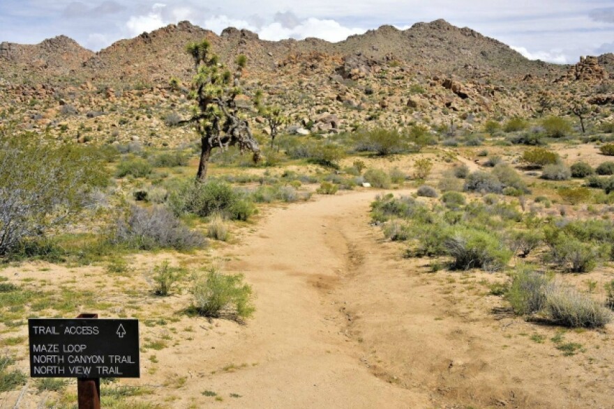 JoshuaTreeHikers_Missing_MainAsset.jpg