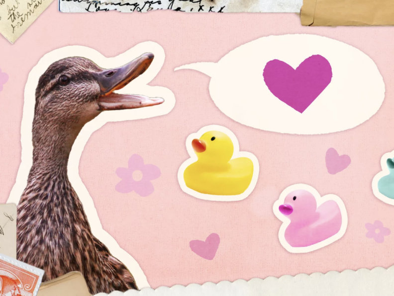 Collage of a mother duck facing three rubber ducks, representing her children. A speech bubble with a heart is coming out of the mother's mouth, symbolizing the advice given by mothers to their children.