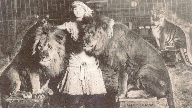 Mabel Stark at the beginning of her career, with lions.