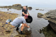 Marine biologist Greg Rouse and chemist Steve Taylor collect samples of seawater and sand from the tide pools near La Jolla's Bird Rock on Friday, July 17, 2026. The samples, or similar ones, will be part of a comprehensive biological library of California's tidal regions housed at the Los Angeles County Museum of Natural History.