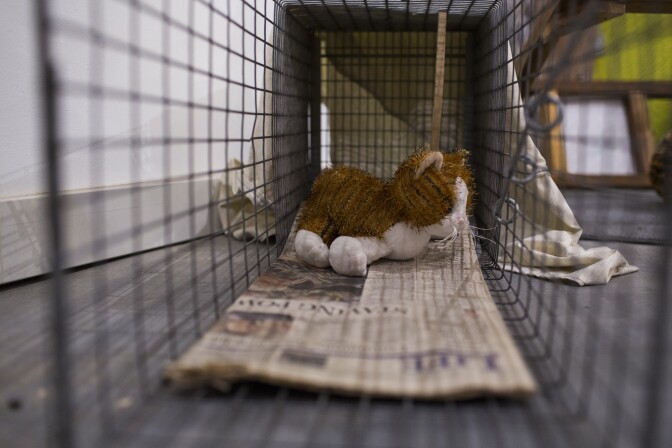 Traps are on display in the "Crazy Cat Ladies" exhibition at The Animal Museum in the Arts District on Monday, Nov. 14, 2016. The section aims to educate museum-goers about trap-neuter-return programs.