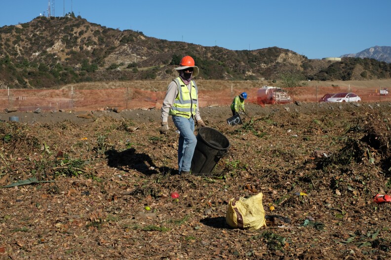 A man wearing a black mask over his mouth and orange hard hat over a wide-brimmed hat wears a safety vest and grey longsleeved shirt and gloves and jeans, holding a black trash bin and walking through green waste on the top of a southern california mountain, 