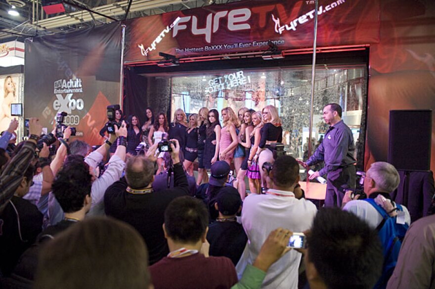 Pornstars from Wicked, Digital Playground, Adam & Eve, and more on the FyreTV Stage