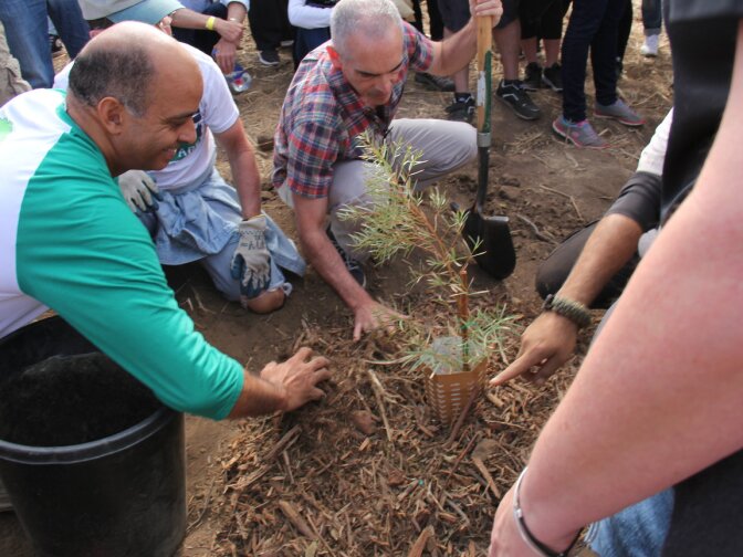 Councilman Mitch O'Farrell (center) and Board of Water and Power Commissioner William Funderburk help plant a tree in Elysian Park using a Land Life Company "cocoon," a new technology the city is testing to see if it can improve the survival rate of new trees.