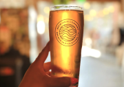 A golden glass of beer has light coming through it. It's being held by a hand. On the glass it says Brewjeria Company, brewed in Pico Rivera