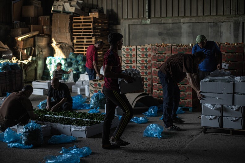 When interviewed, Gaza farmers were not versed in the religious reasoning behind what they call "the year of the religious people," and some misinterpret the Jewish tradition as a commandment to buy produce from one's enemies.