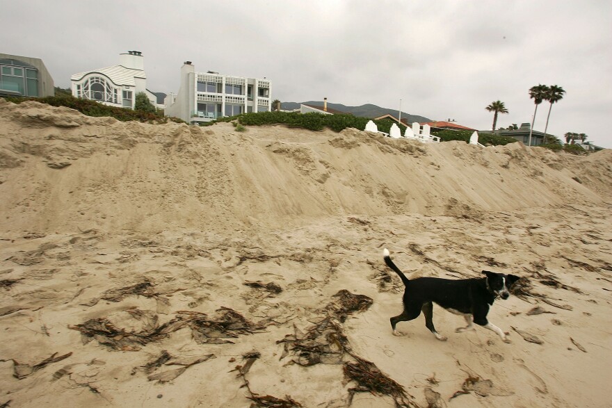 MALIBU, CA - JUNE 15:  A dog runs past piles of sand that have recently been pushed onto exclusive beachfront properties from the public beach on June 15, 2005 in Malibu, California. Homeowners are accused of using bulldozers to steal sand from the public saying it is a way to prevent erosion.  (Photo by David McNew/Getty Images)