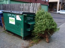 rees can be recycled and turned into mulch, so why not do that? The best way to dispose of your tree depends on where you live.