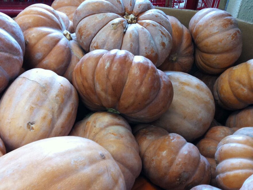 hp_cinderellapumpkins.jpg