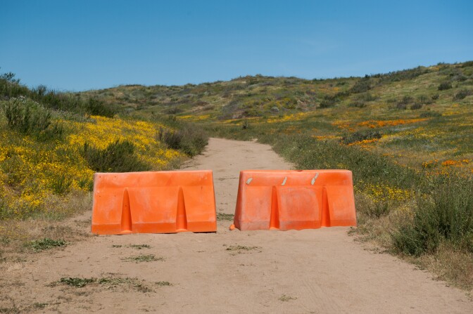 The Metropolitan Water District had to close the wildflower trail at Diamond Valley Lake in Hemet, California for several days to avoid damage to the area after thousands of people came during the superbloom this spring, many of them wandering off trail in pursuit of photographs, selfies, and a more intimate wildflower experience, March 30, 2017. 