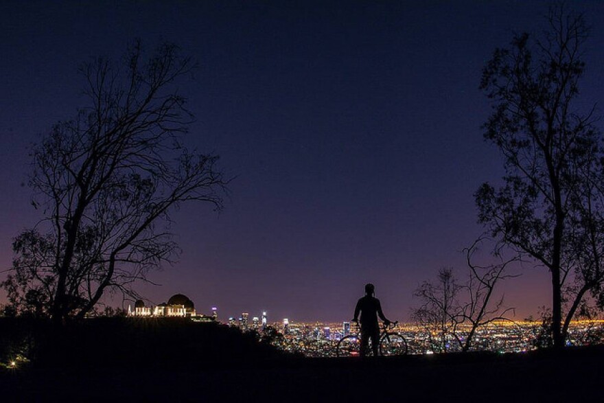 griffith-park.jpg