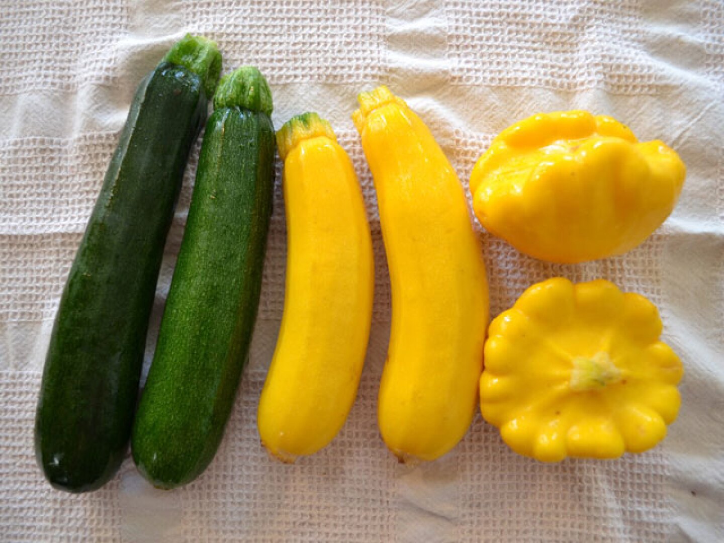 hp_zucchini.jpg