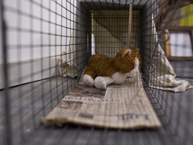 Traps are on display in the "Crazy Cat Ladies" exhibition at The Animal Museum in the Arts District on Monday, Nov. 14, 2016. The section aims to educate museum-goers about trap-neuter-return programs.