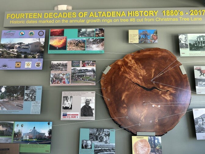 A cut of a tree on a wall showing tree rings. Strings connect from the rings to plaques that detail moments in Altadena history. 