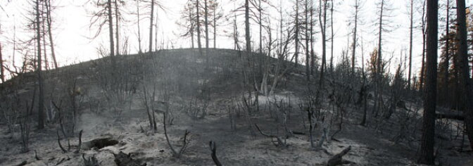 A charred landscape is left in the wake of the 250-square-mile Station Fire as firefighters work to complete the final defensible fireline to contain the massive fire in the San Gabriel Mountains on September 16, 2009 in the Angeles National Forest, northeast of Los Angeles.