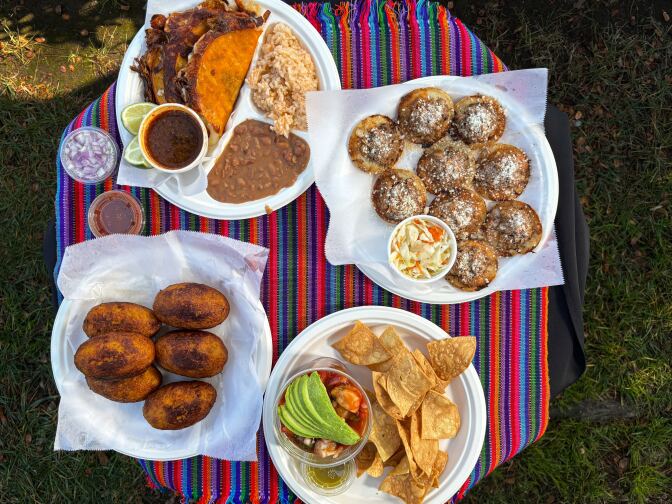 A table with a multicolored tablecloth sits on a grassy area. Four paper plates contain different dishes, including tacos with a side of rice and beans, stuffed plantains, ceviche with a side of tortilla chips and garnachas. 