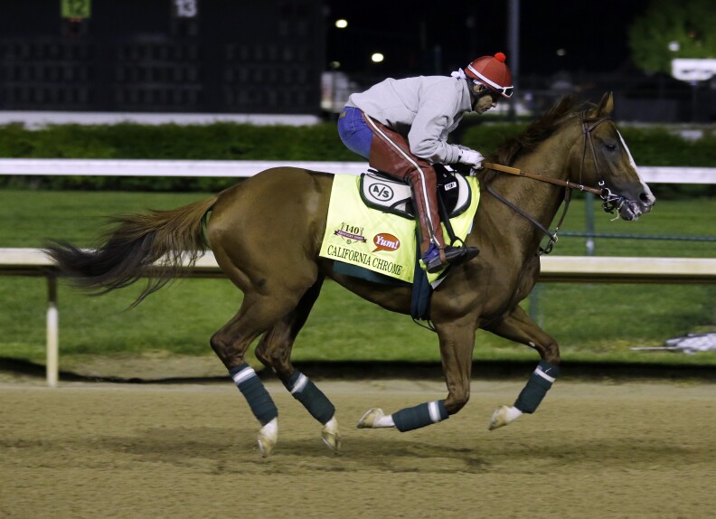 Exercise rider William Delgado takes Kentucky Derby entrant California Chrome for a morning workout during a morning workout at Churchill Downs Friday, May 2, 2014, in Louisville, Ky. 