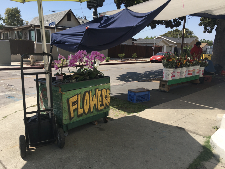 A cart full of flowers that reads "flowers" with two men in the distant background.