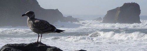 5b2bc7554488b3000926a6d3-original.jpg