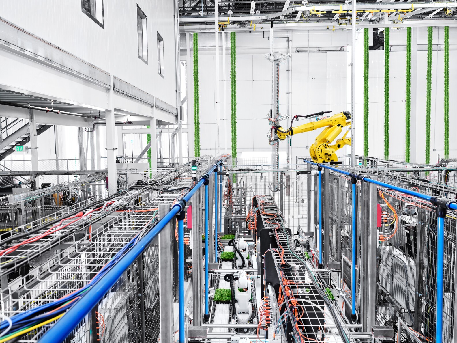 Is the future of farming inside? We visit Compton’s indoor farm to find ...